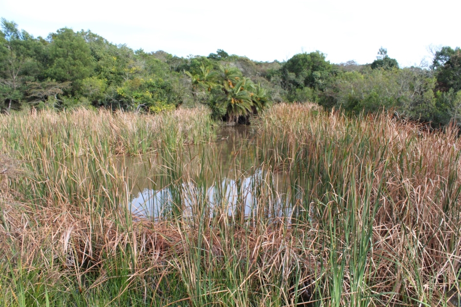 1 Bedroom Property for Sale in Bathurst Rural Eastern Cape